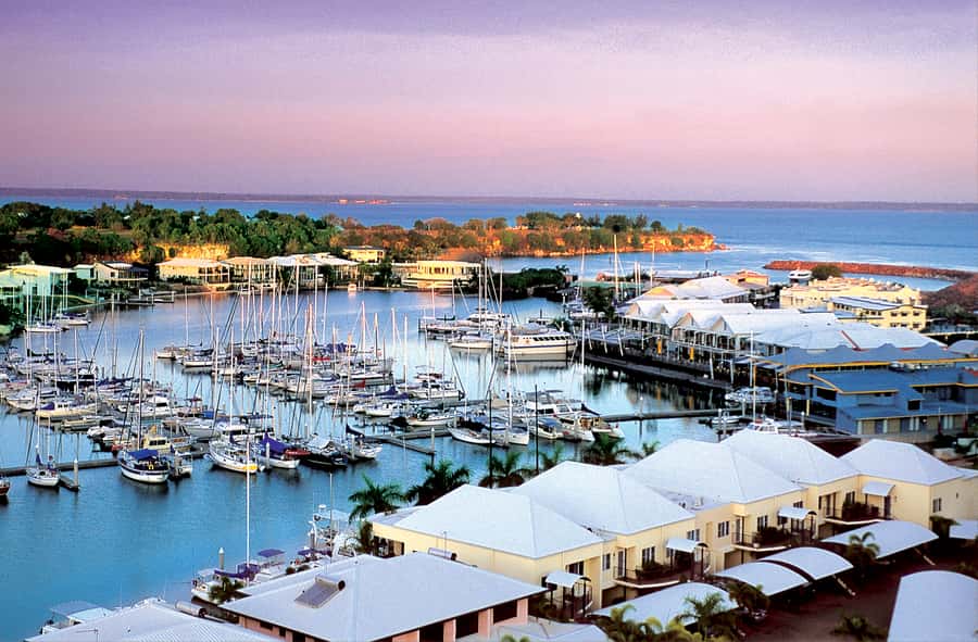 Discover the City of Darwin: Half-Day City Coach Tour - Darwin Botanic Gardens and the Chinese Temple