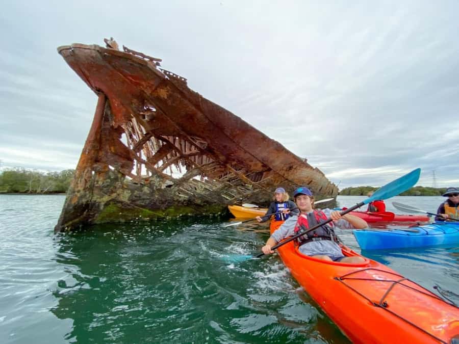 Dolphin Sanctuary and Ships Graveyard Kayak Tour - Key points at a glance