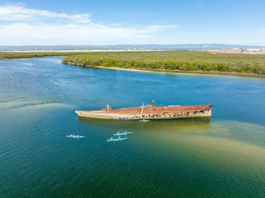 Dolphin Sanctuary and Ships Graveyard Kayak Tour - Paddling through the mangrove creeks