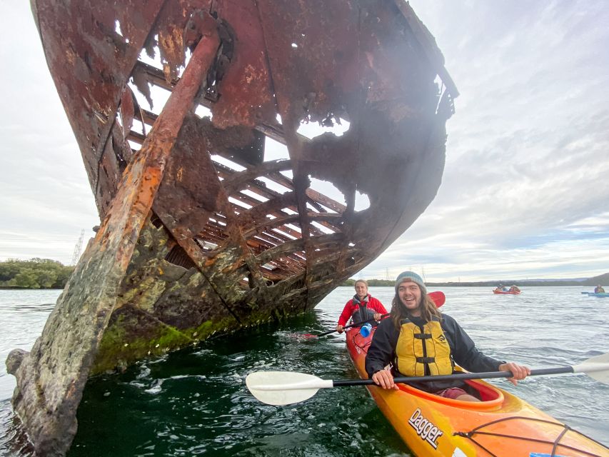 Dolphin Sanctuary and Ships Graveyard Kayak Tour - Searching for dolphins in the sanctuary