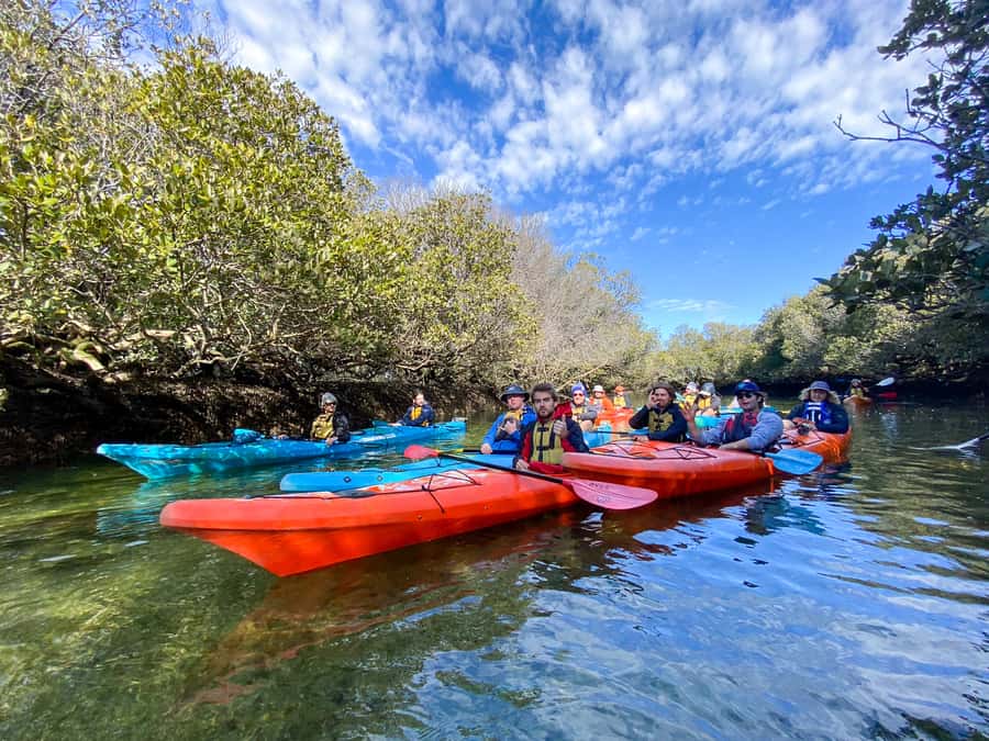 Dolphin Sanctuary and Ships Graveyard Kayak Tour - Reaching the Ships Graveyard Maritime Heritage Trail