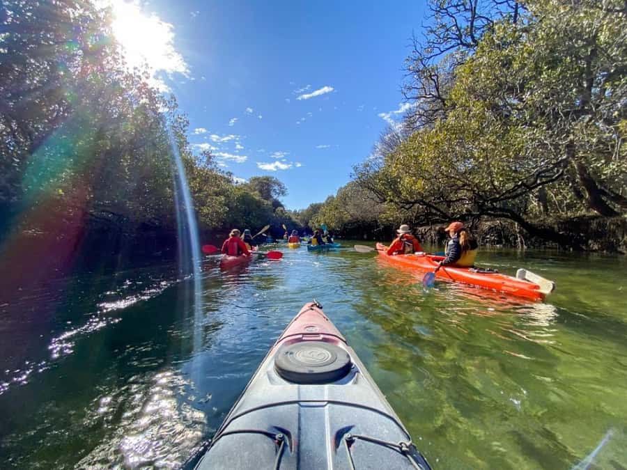 Dolphin Sanctuary and Ships Graveyard Kayak Tour - What to wear and pack for the river