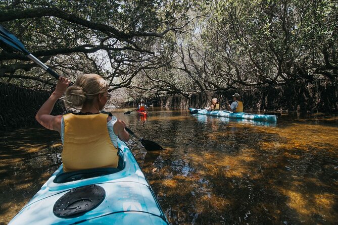 Dolphin Sanctuary Kayak Tour Adelaide - Why Adelaide’s Dolphin Sanctuary makes a fine kayak setting