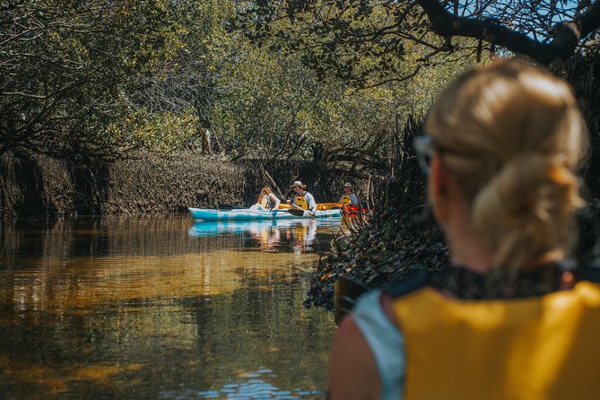Dolphin Sanctuary Kayak Tour Adelaide - Paddling through the mangrove channels