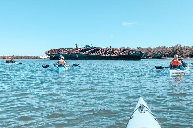 Dolphin Sanctuary Kayak Tour Adelaide - How the guides shape the experience