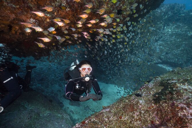 Double Dive to South Solitary Island Coffs Harbour - Why South Solitary Island is worth the boat ride