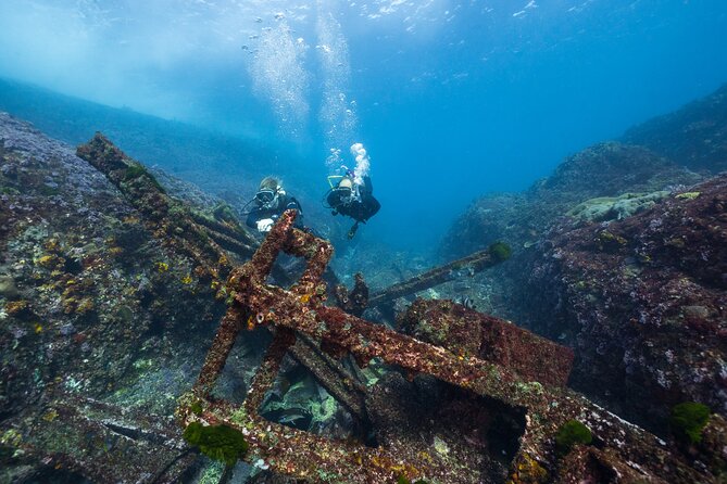 Double Dive to South Solitary Island Coffs Harbour - A simple 7:30 am start at Jetty Dive Centre