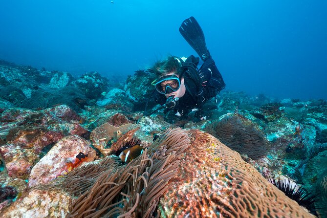 Double Dive to South Solitary Island Coffs Harbour - What the first underwater session may offer