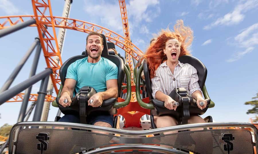 Dreamworld, WhiteWater World & SkyPoint 3-Day Ticket - Making time for Tiger Island and native wildlife
