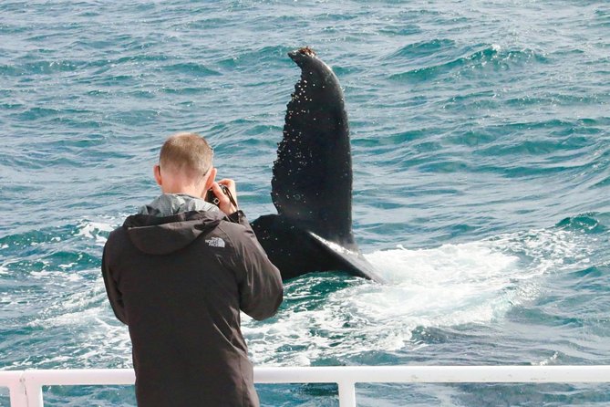 Dunsborough Whale Watching Eco Tour - The boat gives you room to find your own view