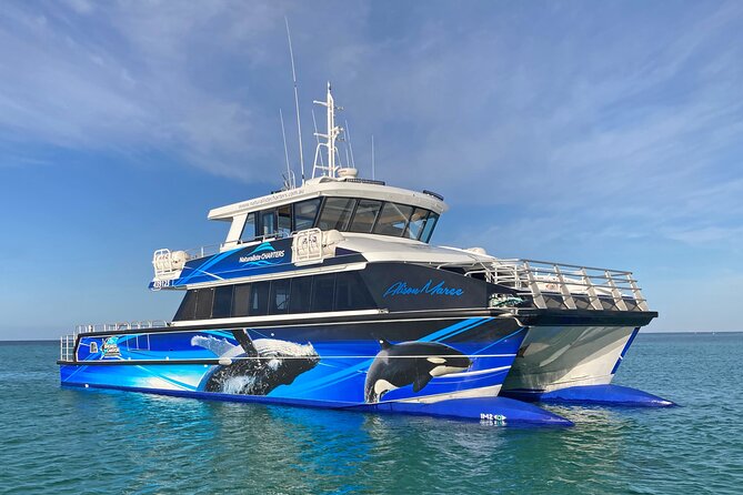 Dunsborough Whale Watching Eco Tour - What the 2.5-hour cruise feels like