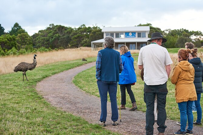 Dusk Discovery Tour - Why dusk is the best time at Wildlife Wonders