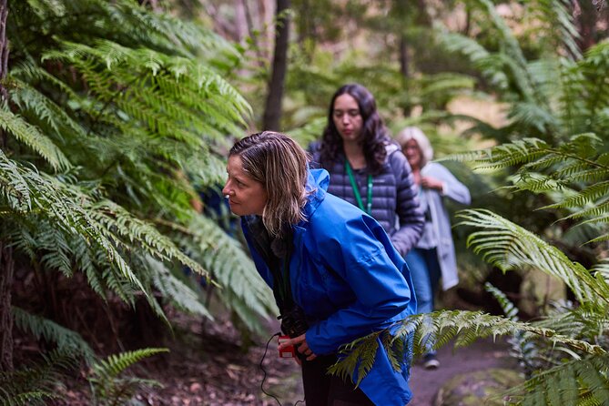 Dusk Discovery Tour - Who will enjoy this evening walk