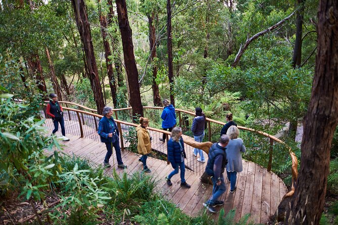 Dusk Discovery Tour - Meeting potoroos, bandicoots and pademelons
