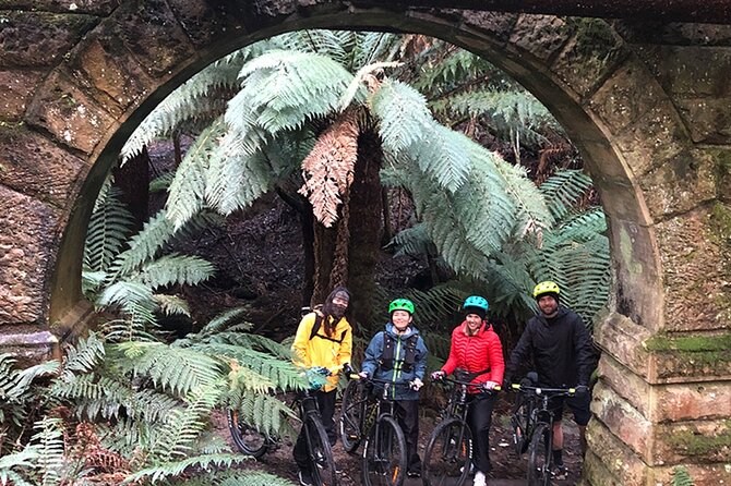 Easy Bike Tour - Mt Wellington Summit Descent & Rainforest Ride - The 6-kilometer summit road descent
