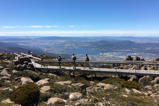 Easy Bike Tour - Mt Wellington Summit Descent & Rainforest Ride - A pause at Lost Freight Cafe