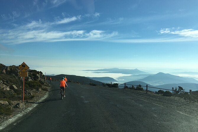 Easy Bike Tour - Mt Wellington Summit Descent & Rainforest Ride - The 11-kilometer rainforest trail