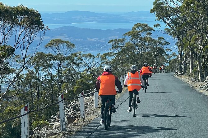 Easy Bike Tour - Mt Wellington Summit Descent & Rainforest Ride - What the pace feels like