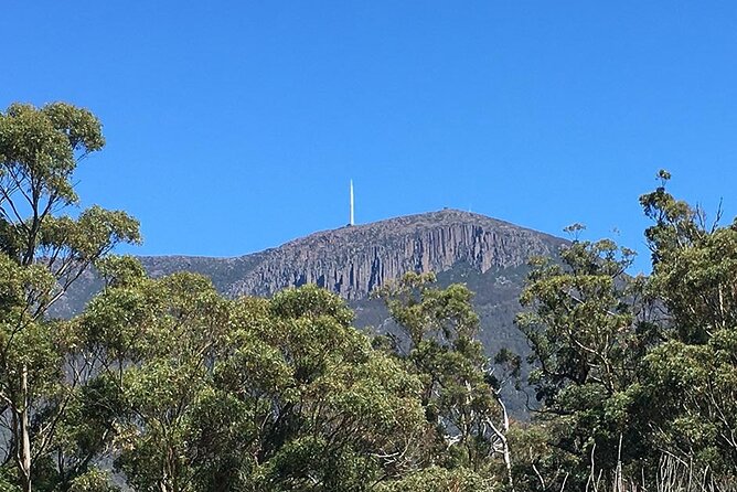 Easy Bike Tour - Mt Wellington Summit Descent & Rainforest Ride - The minibus climb to 1,270 meters