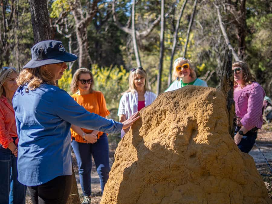 Eden: 2-Hour Highlights Tour, Nature, Beaches and Lookouts - Who should book this Eden tour?