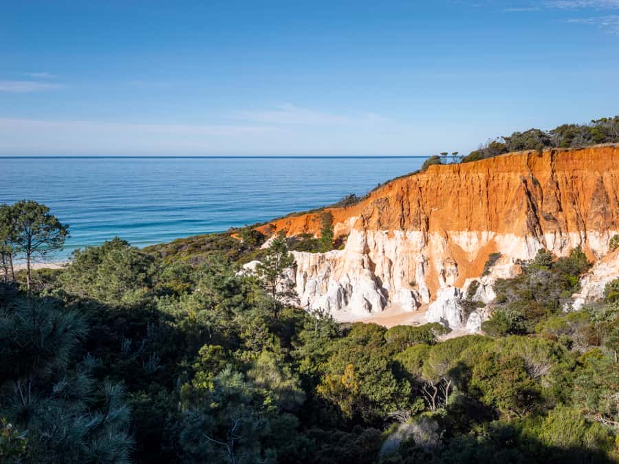 Eden: 2-Hour Highlights Tour, Nature, Beaches and Lookouts - A fast introduction to Eden’s coast