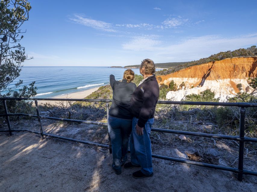 Eden: 2-Hour Highlights Tour, Nature, Beaches and Lookouts - The big view at Pinnacles Lookout