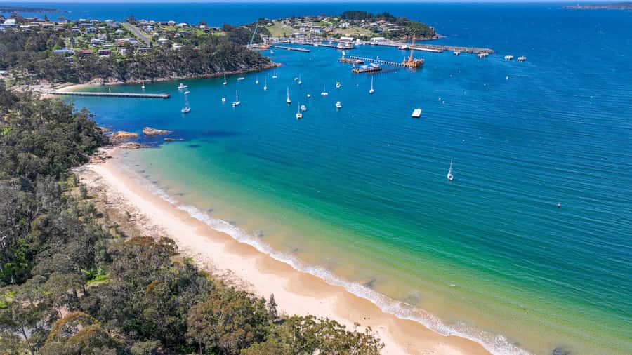 Eden: 2-Hour Highlights Tour, Nature, Beaches and Lookouts - Starting at Rotary Park on Twofold Bay