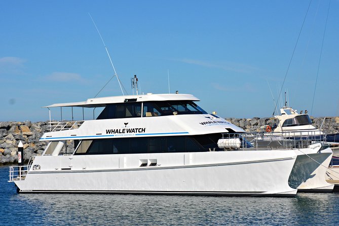 Educational Whale Watching Tour from Perth - Key points before you book