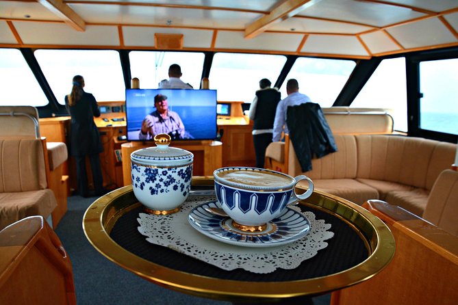 Educational Whale Watching Tour from Perth - Commentary, sound, and the best place to sit