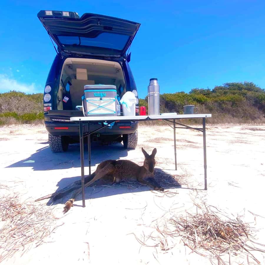 Esperance: Cape Le Grand National Park 4x4 Beach Adventure - Who should book this experience?