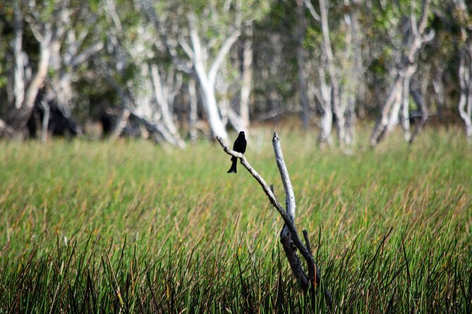 ETHICAL ADVENTURES - 1 Day premium Litchfield tour, small group - Why this Litchfield day feels different from a standard coach tour
