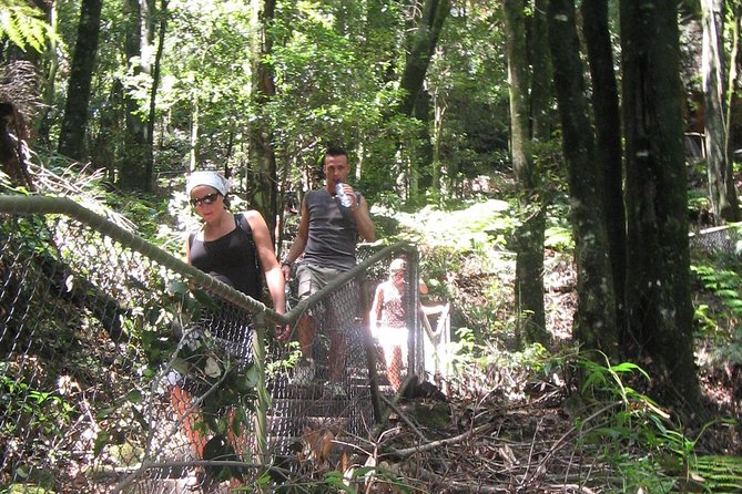 Exclusive Blue Mountains Wildlife and Bushwalk Tour From Sydney - Leura and the mountain villages
