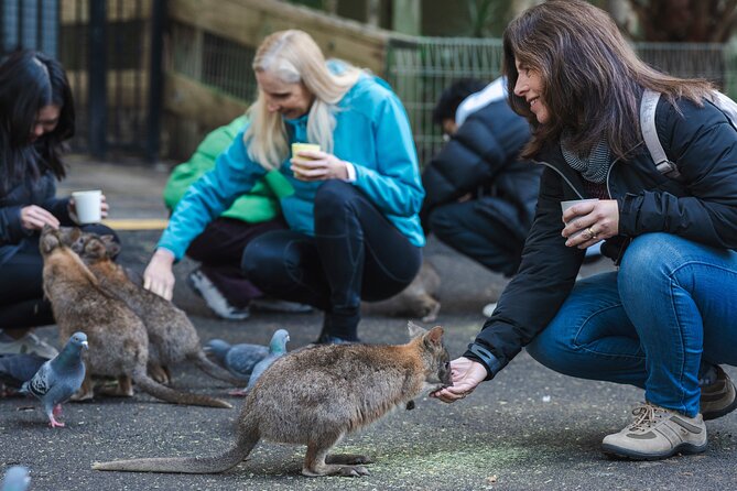 Exclusive Blue Mountains Wildlife and Bushwalk Tour From Sydney - Featherdale Wildlife Park: the most reliable animal encounter