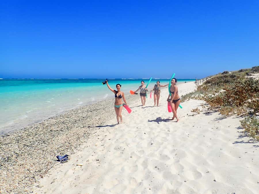 Exmouth: Guided Ningaloo Reef Snorkel Adventure - Why a guided shore snorkel makes sense at Ningaloo