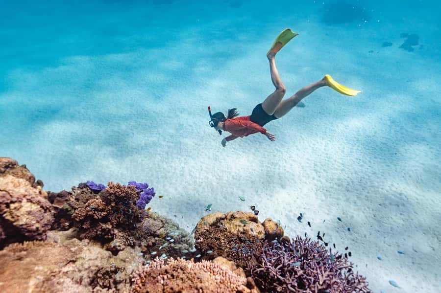 Exmouth: Guided Ningaloo Reef Snorkel Adventure - Turquoise Bay: the main event