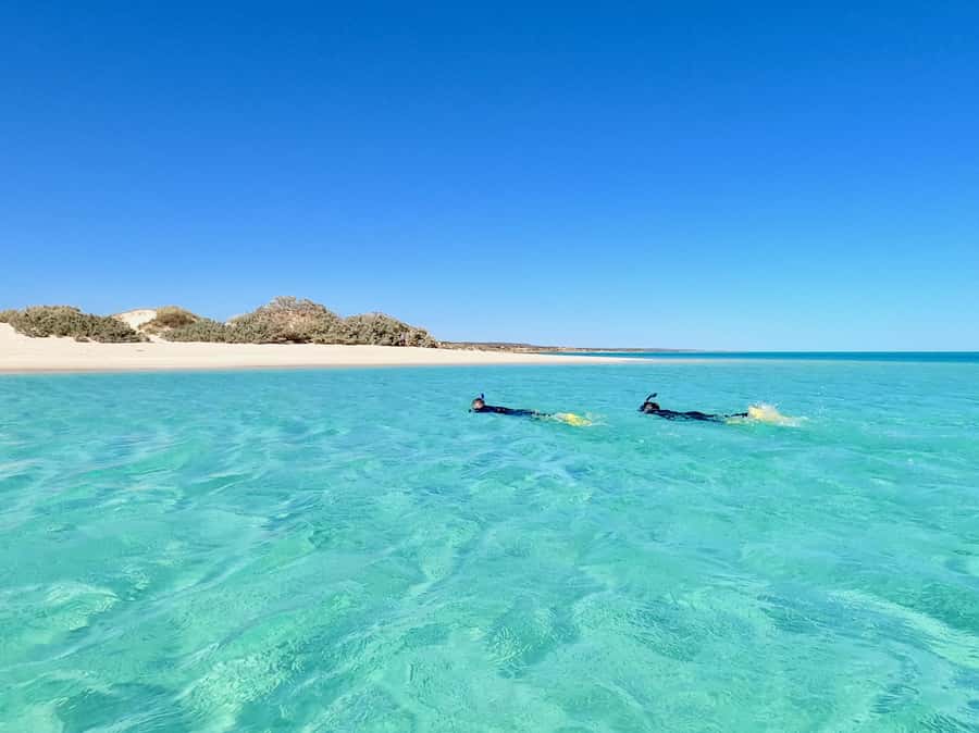 Exmouth: Guided Ningaloo Reef Snorkel Adventure - What the guide adds underwater