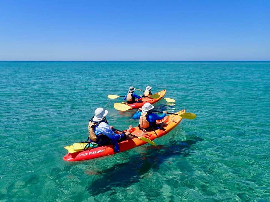 Exmouth: Half Day Turtle Kayak & Snorkel Tour - Why Bundegi Sanctuary Zone works so well for this tour