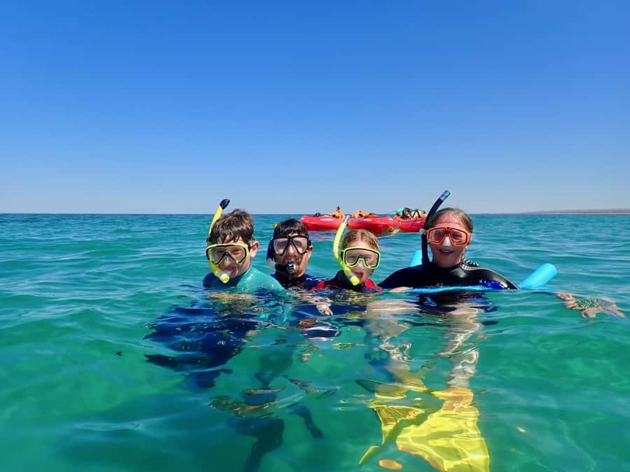 Exmouth: Half Day Turtle Kayak & Snorkel Tour - Three hours of paddling, wildlife watching, and snorkeling