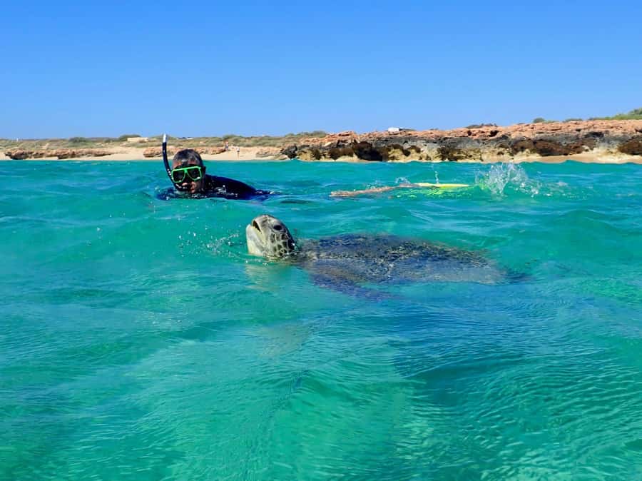 Exmouth: Half Day Turtle Kayak & Snorkel Tour - Pickup, changing start times, and the short ride out