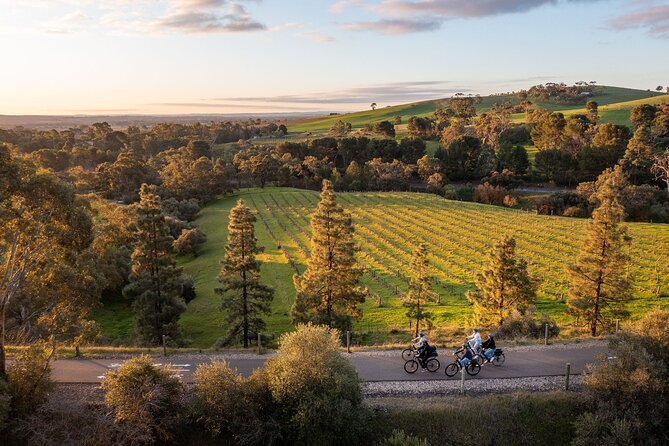 Experience Barossa Valley by E-bike - Dan and Matt bring the human side