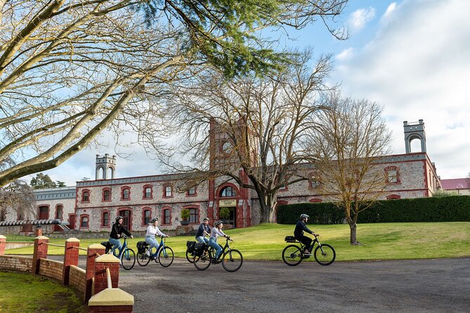Experience Barossa Valley by E-bike - Timing, meeting point, and practical details