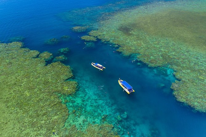 Fly Raft Package: Whitehaven Beach, Snorkel and Scenic Flight - Transfers, timing, and small planning traps