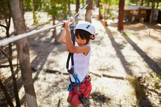 Forest Adventures - The flying foxes are the big payoff
