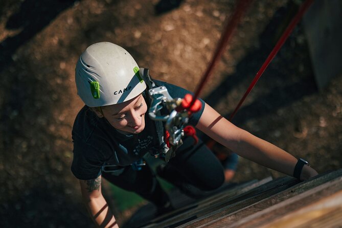Forest Adventures - What the experience feels like for different groups