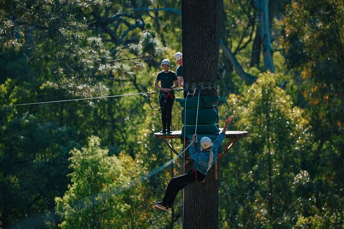 Forest Adventures - Your first 20 minutes: harness, helmet, glove, and practice