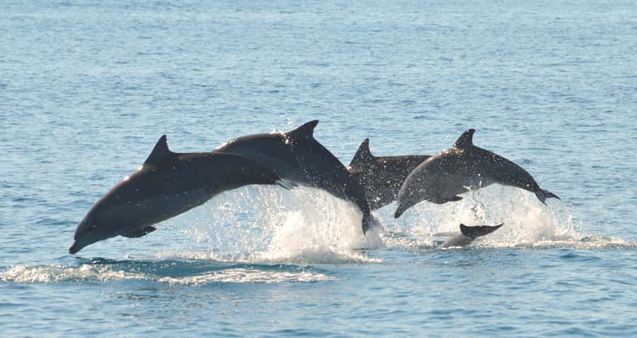 Fraser Island 4-Hour Eco-Sailing Adventure - Four hours along K’gari’s calm western shore