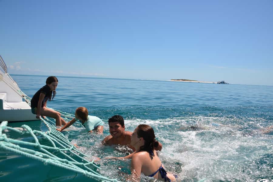Fraser Island 4-Hour Eco-Sailing Adventure - Watching dolphins without chasing them