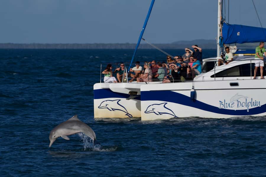 Fraser Island 4-Hour Eco-Sailing Adventure - Reaching the beach and Pelican Bank