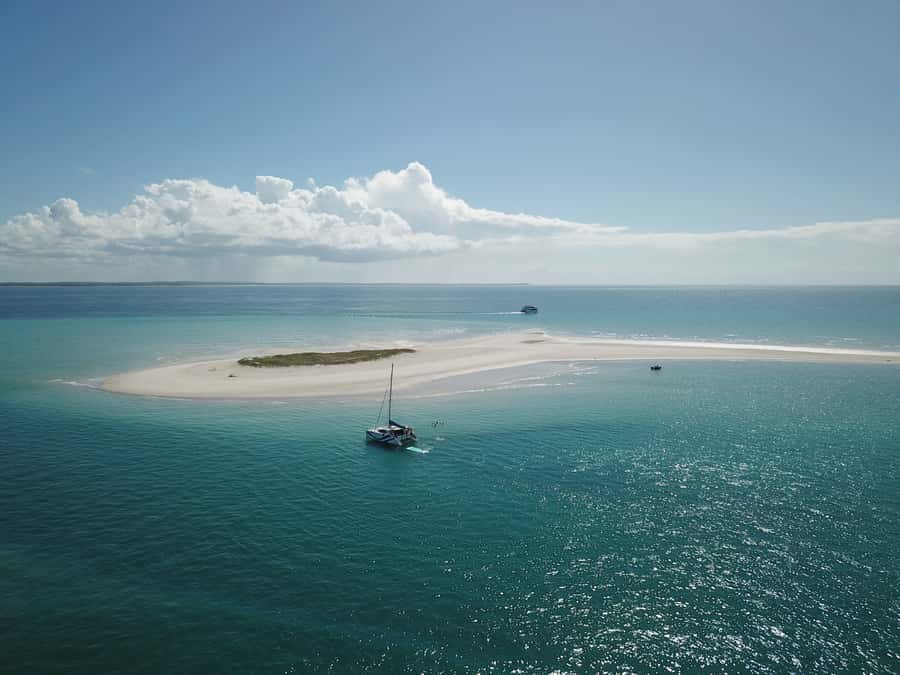 Fraser Island 4-Hour Eco-Sailing Adventure - Who will enjoy this cruise most