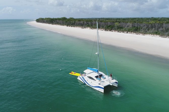 Fraser Island & Dolphin Sailing Adventure - Is $78.90 good value?